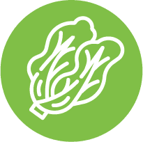 vegetables